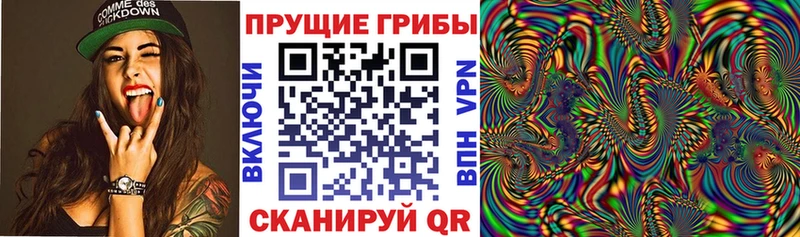 Псилоцибиновые грибы MAGIC MUSHROOMS Новокубанск