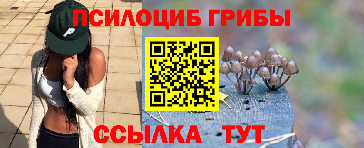 Псилоцибиновые грибы Magic Shrooms  магазин продажи наркотиков  Новокубанск  Вход с VPN 